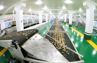 金正恩視察平壤食品工廠，贊國產設備像美男子，強調食品銷售重要性