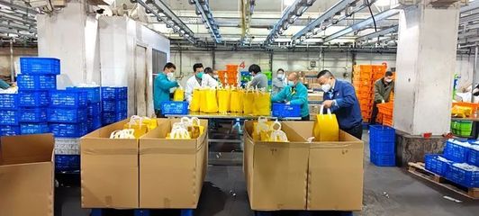 日供豬肉50噸！企業全力以赴保百姓“肉盤子”穩定