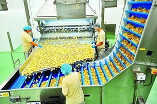 食品廠落地產(chǎn)品處理與銷售策略