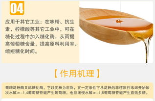 夏盛葡糖淀粉酶 高效糖化酶在食品工業(yè)中的專業(yè)應(yīng)用