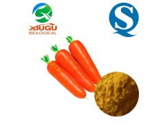 純天然胡蘿卜粉 從田園到餐桌，廠家直銷助力食品產(chǎn)業(yè)升級(jí)